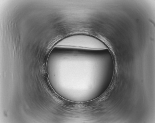 X0000100220105200805300756