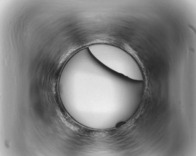 X0000100220106200805300756
