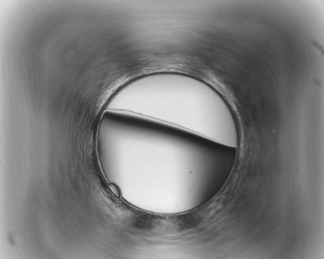 X0000100220107200805300756