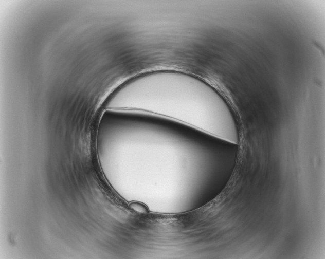 X0000100220108200805300756