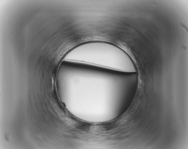 X0000100220109200805300756