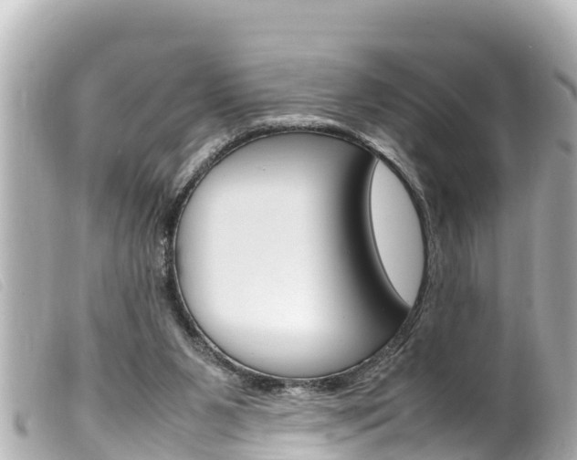 X0000100220111200805300756