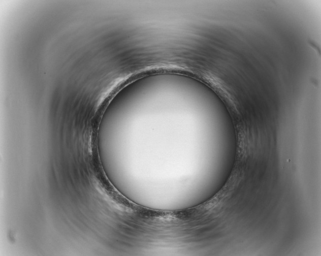 X0000100220112200805300756