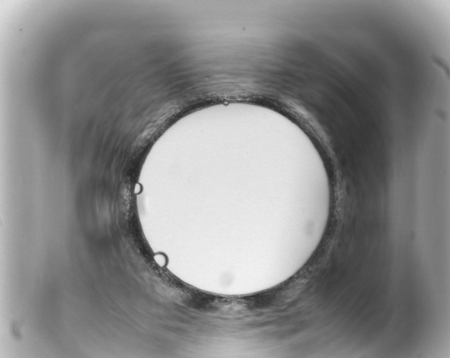X0000100220113200805300756