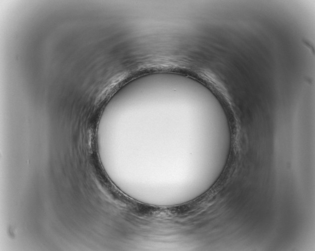 X0000100220115200805300756