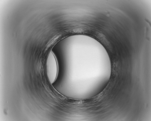 X0000100220116200805300756