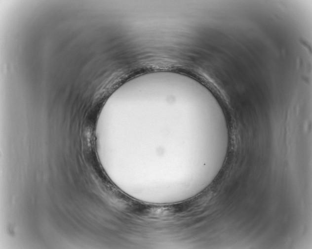 X0000100220117200805300756