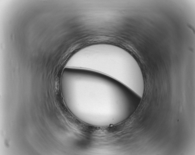 X0000100220119200805300756