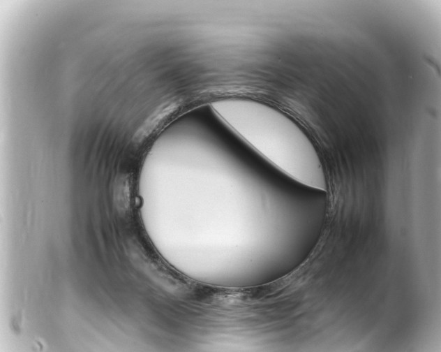 X0000100220120200805300756