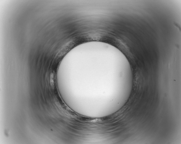 X0000100220122200805300756