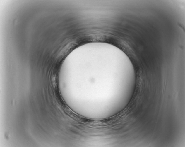 X0000100220123200805300756