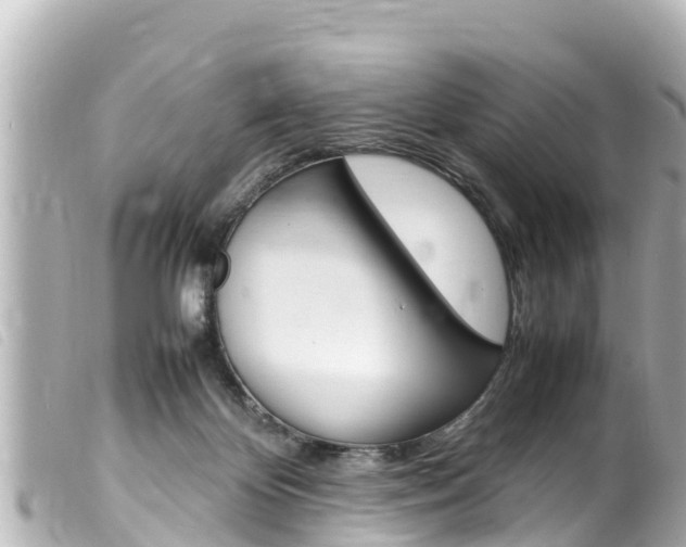 X0000100220124200805300756