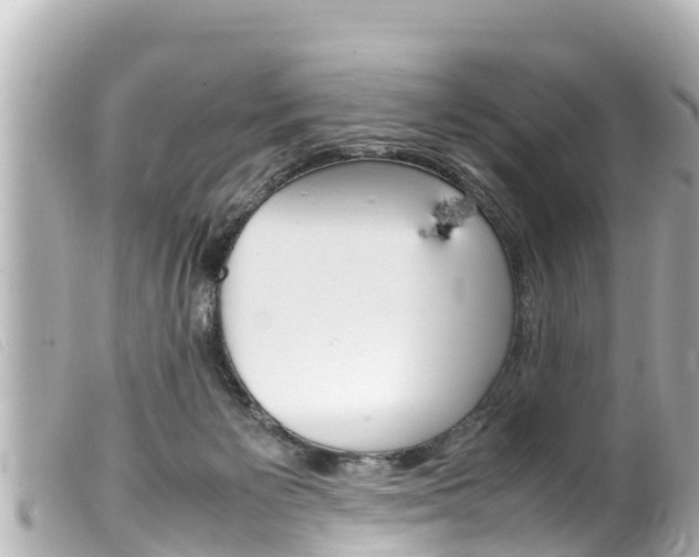 X0000100220125200805300756