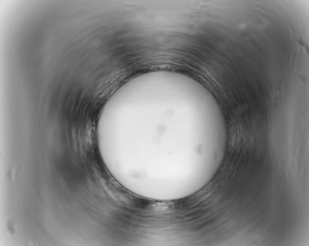 X0000100220126200805300756