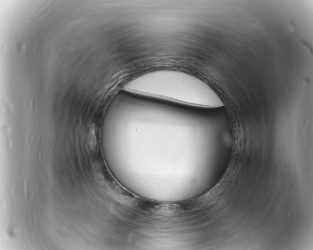 X0000100220128200805300756