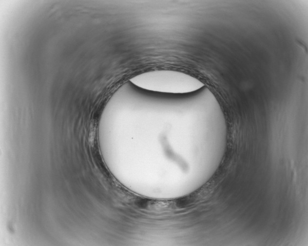 X0000100220129200805300756