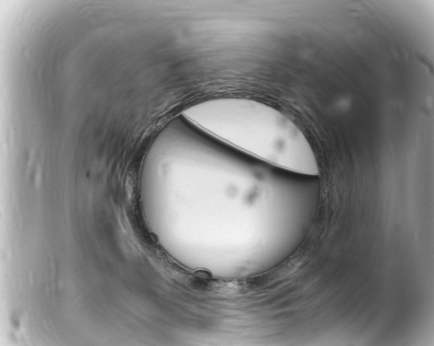 X0000100220131200805300756