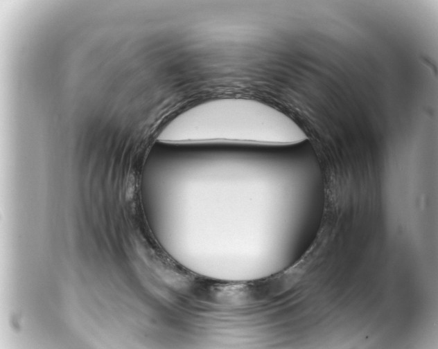 X0000100220132200805300756