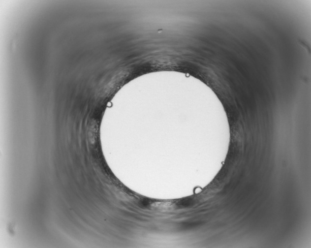 X0000100220133200805300756