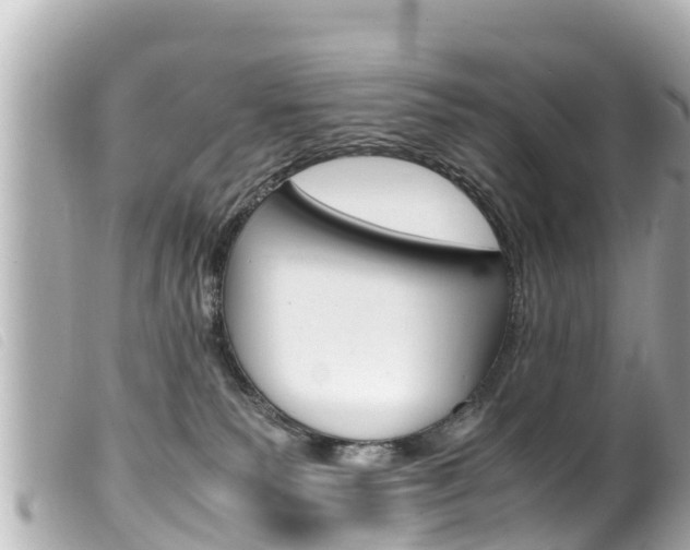 X0000100220135200805300756