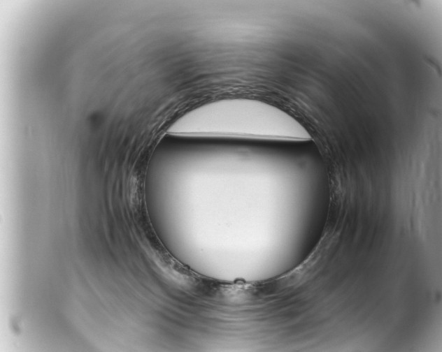 X0000100220136200805300756