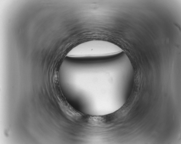 X0000100220137200805300756