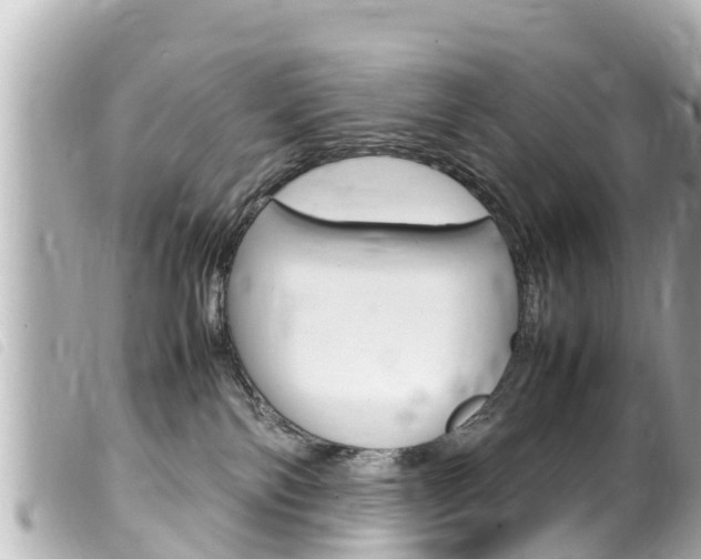 X0000100220138200805300756