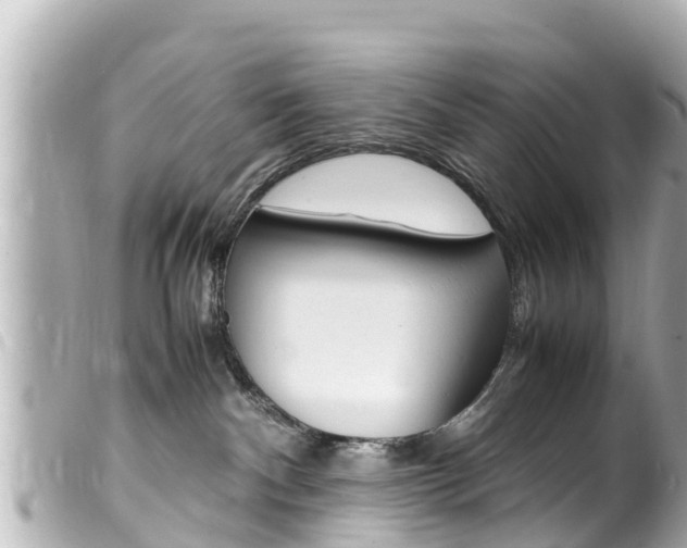 X0000100220140200805300756