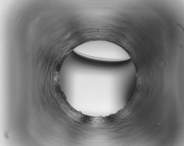 X0000100220141200805300756