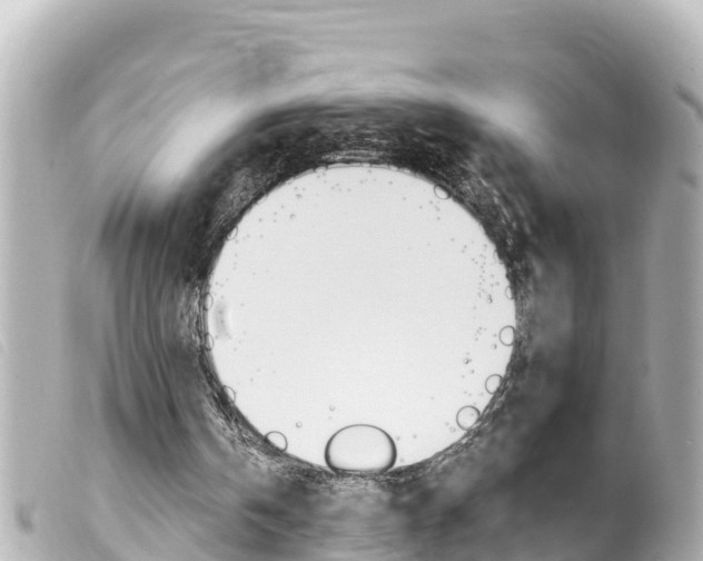 X0000100220146200805300755