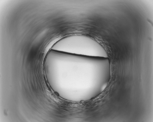 X0000100220147200805300755