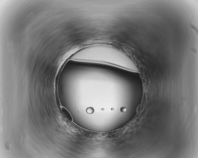 X0000100220148200805300755