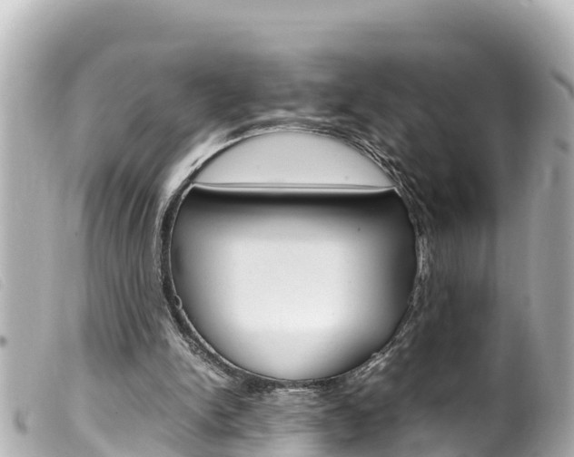 X0000100220150200805300755