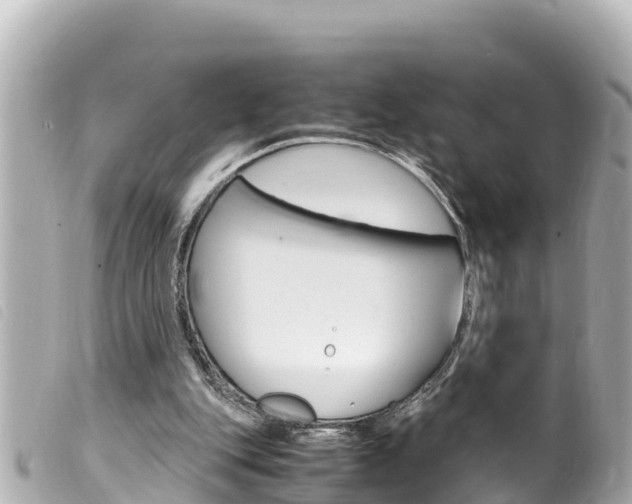 X0000100220151200805300755