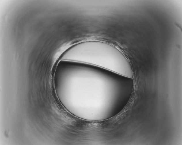 X0000100220152200805300755
