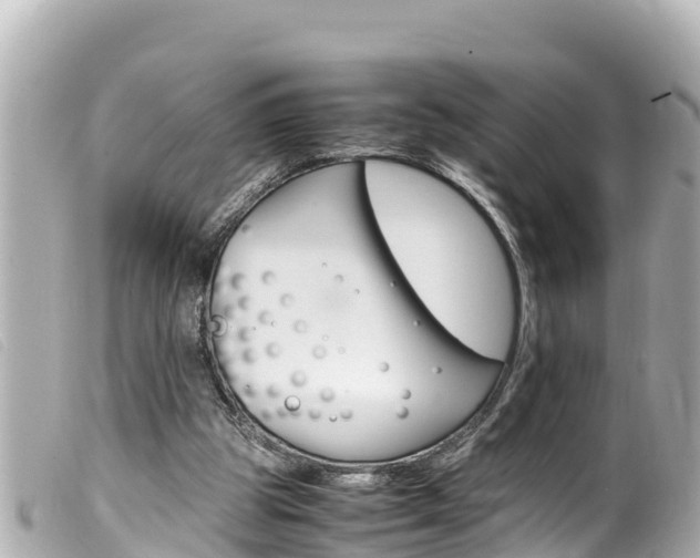 X0000100220153200805300755