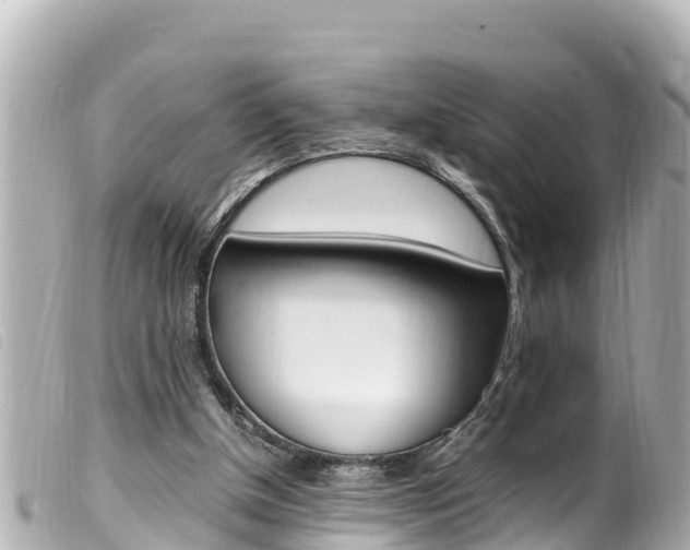X0000100220154200805300755
