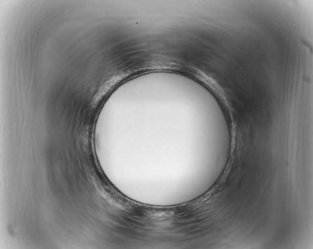 X0000100220155200805300755