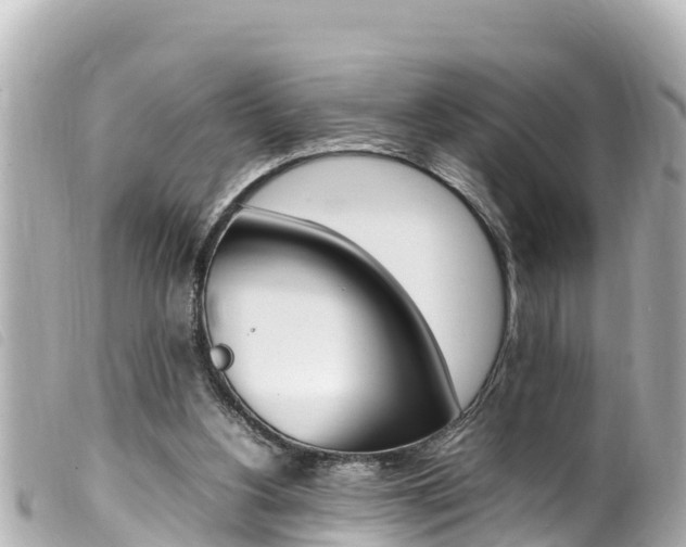 X0000100220156200805300755