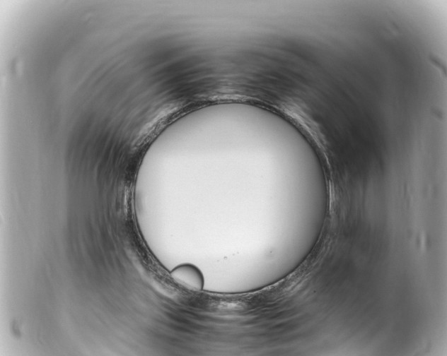 X0000100220157200805300755