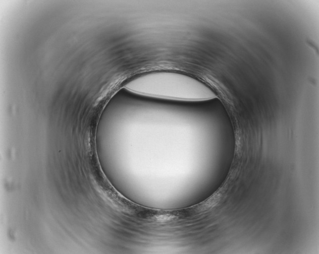 X0000100220158200805300755