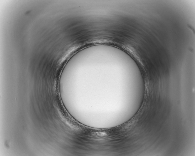 X0000100220159200805300755