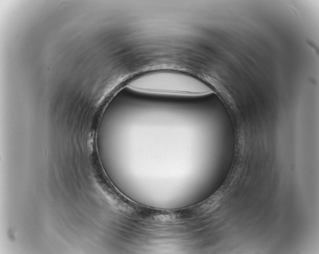X0000100220160200805300755