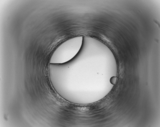 X0000100220161200805300755