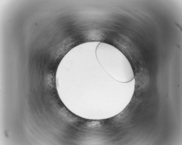 X0000100220162200805300755