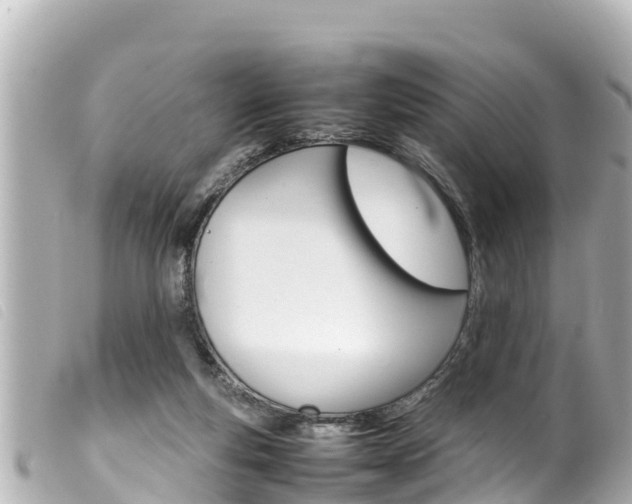 X0000100220163200805300755