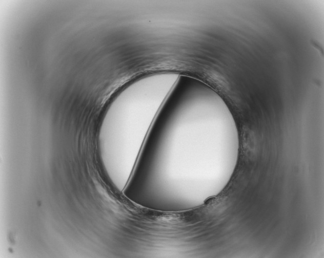 X0000100220164200805300755