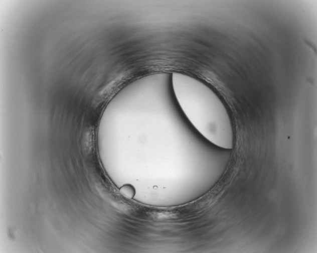 X0000100220165200805300755