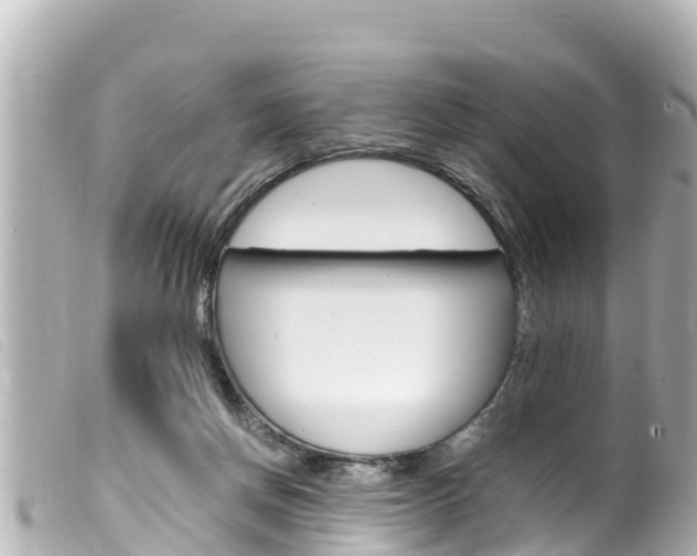 X0000100220166200805300755