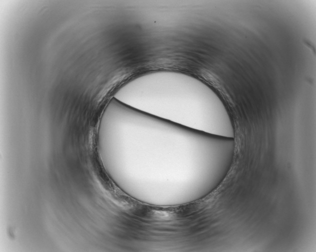 X0000100220167200805300755